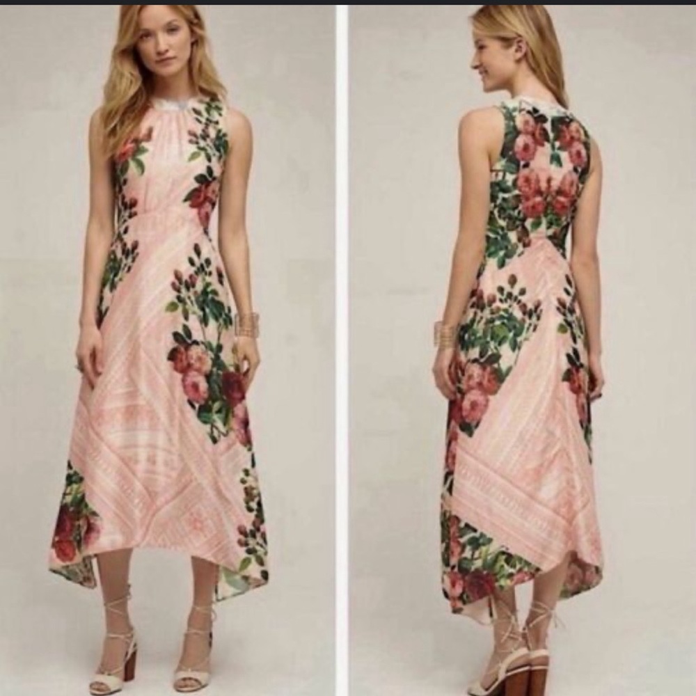 Anthropologie Pankaj & Nidhi Butterfly Garden Floral Midi Dress Size 0